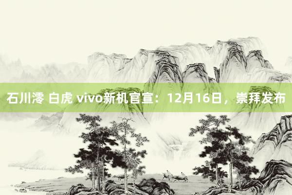 石川澪 白虎 vivo新机官宣：12月16日，崇拜发布