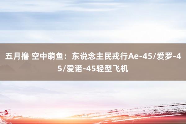 五月撸 空中萌鱼：东说念主民戎行Ae-45/爱罗-45/爱诺-45轻型飞机