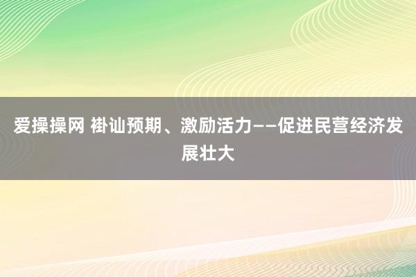 爱操操网 褂讪预期、激励活力——促进民营经济发展壮大