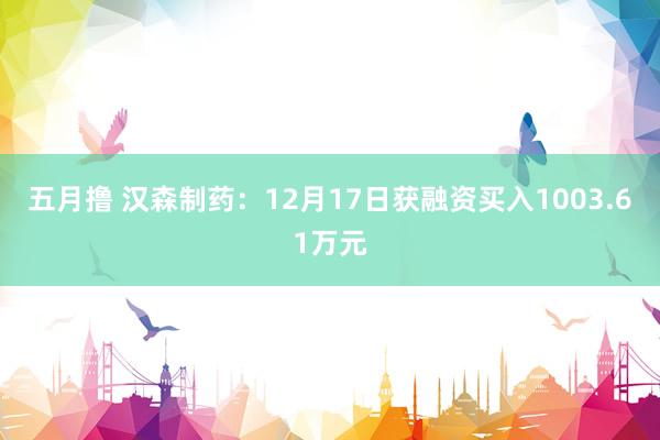 五月撸 汉森制药：12月17日获融资买入1003.61万元