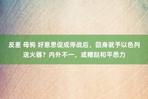 反差 母狗 好意思促成停战后，回身就予以色列送火器？内外不一，或糟跶和平悉力