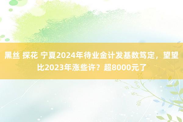 黑丝 探花 宁夏2024年待业金计发基数笃定，望望比2023年涨些许？超8000元了