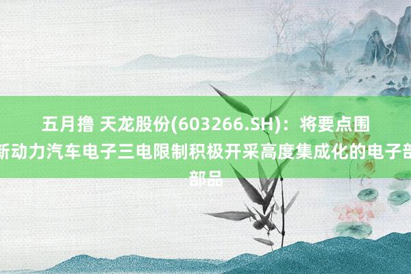 五月撸 天龙股份(603266.SH)：将要点围绕新动力汽车电子三电限制积极开采高度集成化的电子部品