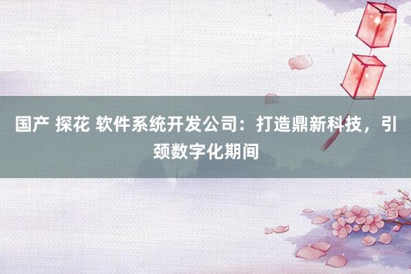 国产 探花 软件系统开发公司：打造鼎新科技，引颈数字化期间