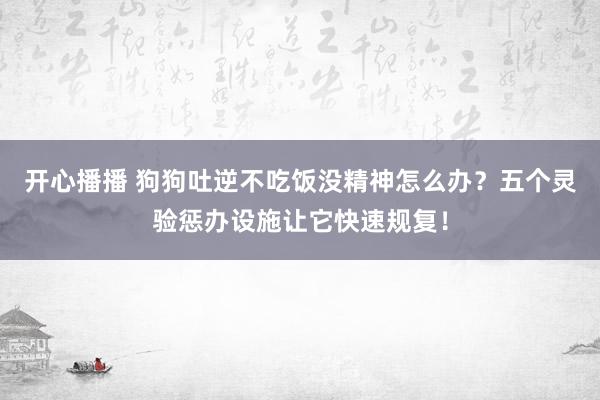 开心播播 狗狗吐逆不吃饭没精神怎么办？五个灵验惩办设施让它快速规复！