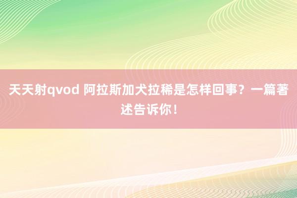 天天射qvod 阿拉斯加犬拉稀是怎样回事？一篇著述告诉你！