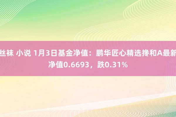 丝袜 小说 1月3日基金净值：鹏华匠心精选搀和A最新净值0.6693，跌0.31%