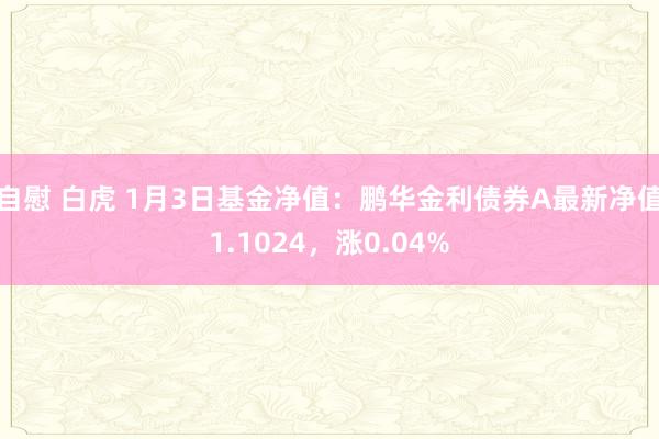 自慰 白虎 1月3日基金净值：鹏华金利债券A最新净值1.1024，涨0.04%