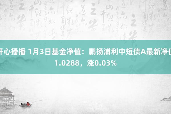 开心播播 1月3日基金净值：鹏扬浦利中短债A最新净值1.0288，涨0.03%