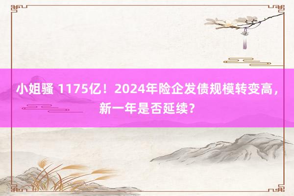 小姐骚 1175亿！2024年险企发债规模转变高，新一年是否延续？