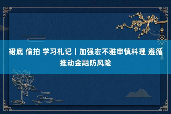 裙底 偷拍 学习札记丨加强宏不雅审慎料理 遵循推动金融防风险