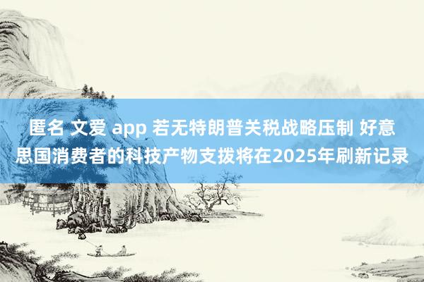 匿名 文爱 app 若无特朗普关税战略压制 好意思国消费者的科技产物支拨将在2025年刷新记录