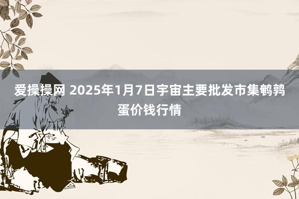 爱操操网 2025年1月7日宇宙主要批发市集鹌鹑蛋价钱行情