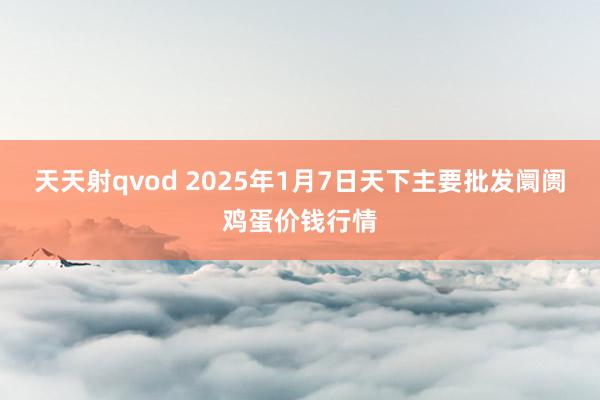 天天射qvod 2025年1月7日天下主要批发阛阓鸡蛋价钱行情