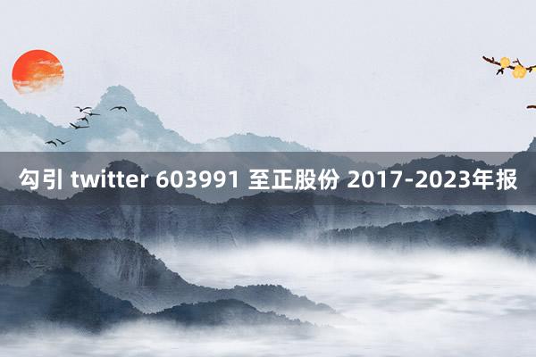 勾引 twitter 603991 至正股份 2017-2023年报