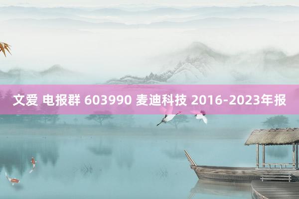 文爱 电报群 603990 麦迪科技 2016-2023年报