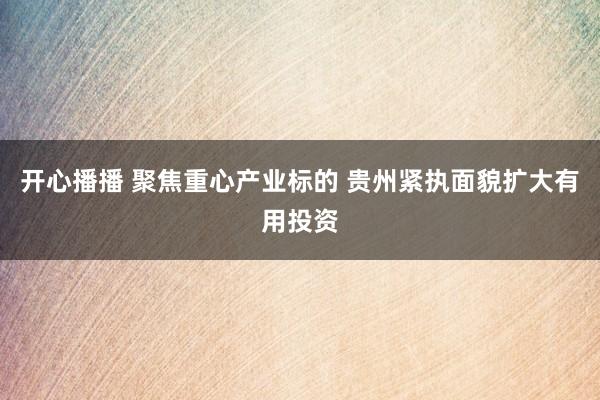 开心播播 聚焦重心产业标的 贵州紧执面貌扩大有用投资