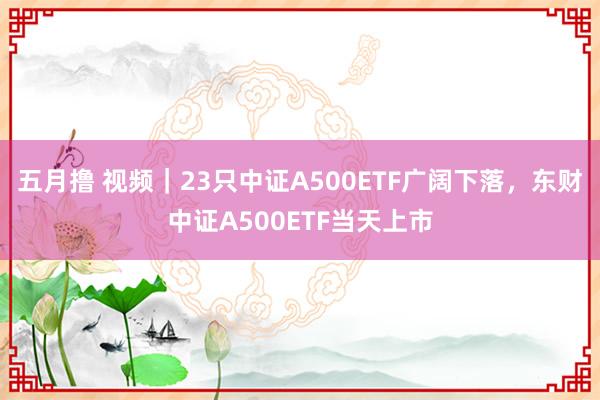 五月撸 视频｜23只中证A500ETF广阔下落，东财中证A500ETF当天上市