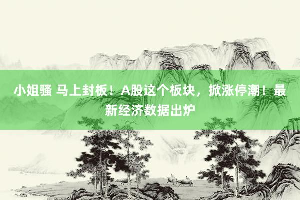 小姐骚 马上封板！A股这个板块，掀涨停潮！最新经济数据出炉