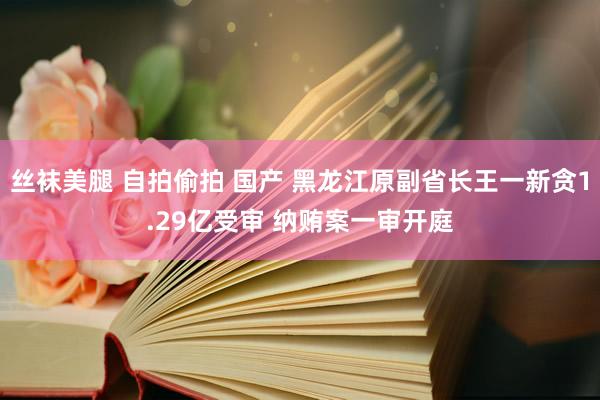 丝袜美腿 自拍偷拍 国产 黑龙江原副省长王一新贪1.29亿受审 纳贿案一审开庭