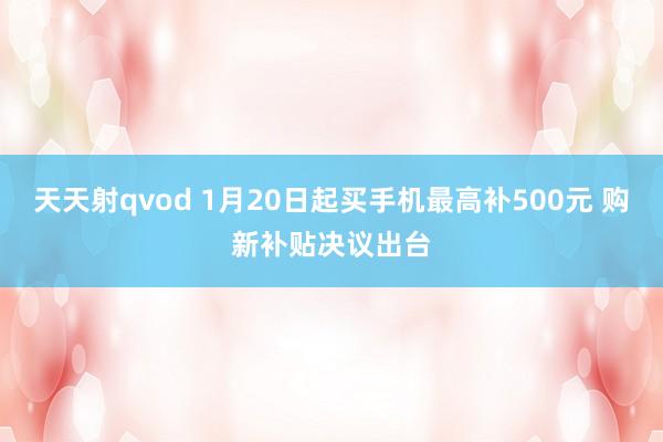 天天射qvod 1月20日起买手机最高补500元 购新补贴决议出台